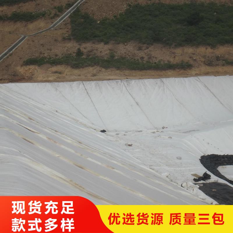 滌綸長絲土工布實力廠家支持定制今年新款