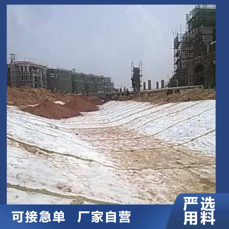 膨潤土復合防水毯實力廠家/現貨供應生產廠家