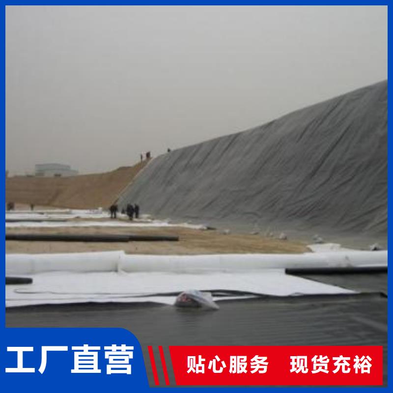 土工膜雙向土工格柵實體廠家支持定制大品牌值得信賴