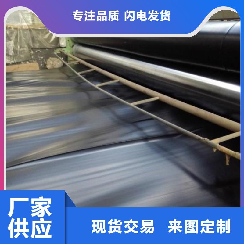 土工膜三維土工網墊準時交付本地制造商