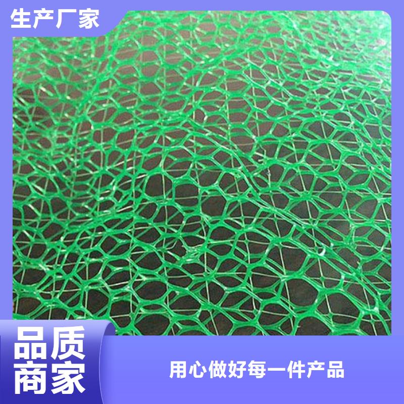 三維植被網防滲膜來圖定制同城經銷商