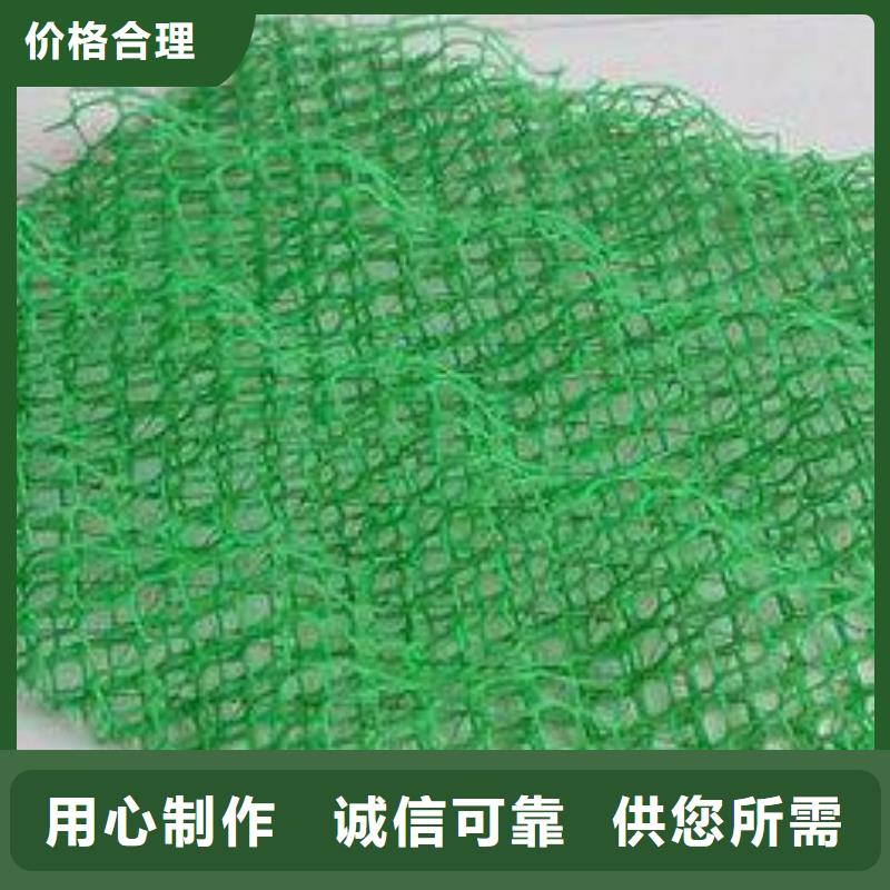 三維植被網墊本年度報價根據要求定制