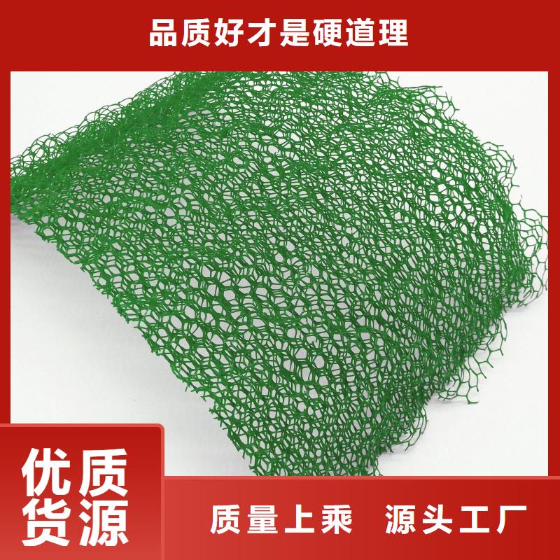 三維植被網三維土工網墊質量檢測支持批發零售