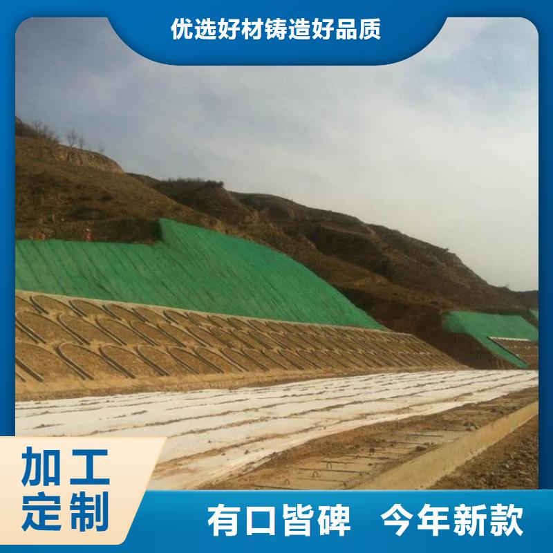2025耐用三維植被網生產廠家哪家好同城品牌