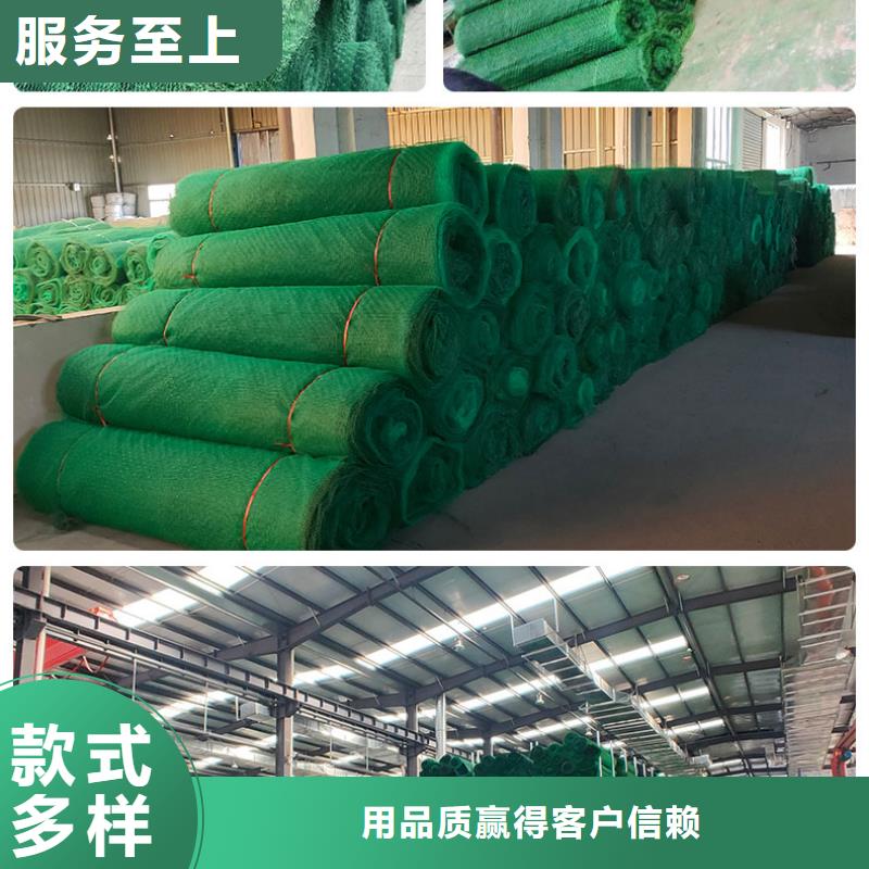 【三維植被網】土工席墊支持非標定制同城制造商