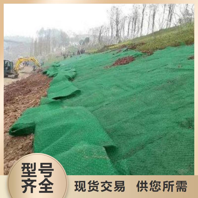 三維植被網(wǎng)玻纖土工格柵免費(fèi)詢價(jià)本地供應(yīng)商