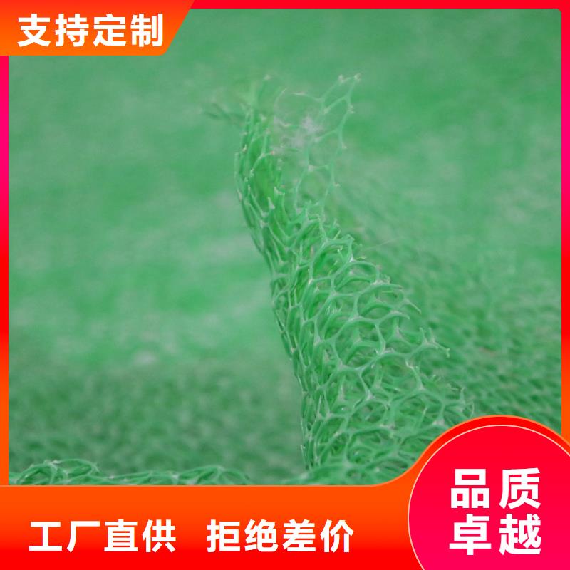 三維植被網護坡土工網廠家工藝先進有實力有經驗
