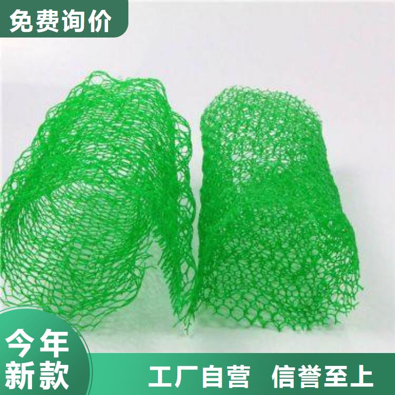 三維植被網滌綸土工格柵無中間商廠家直銷廠家供應