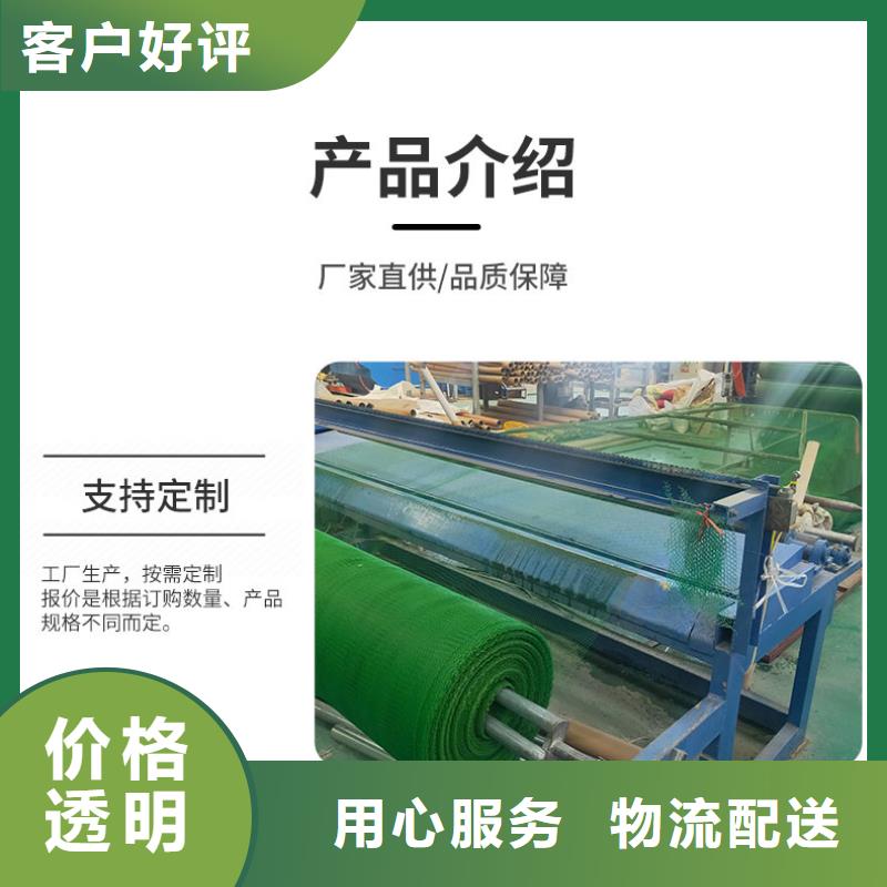 三維植被網-雙向塑料土工格柵材質實在多年實力廠家