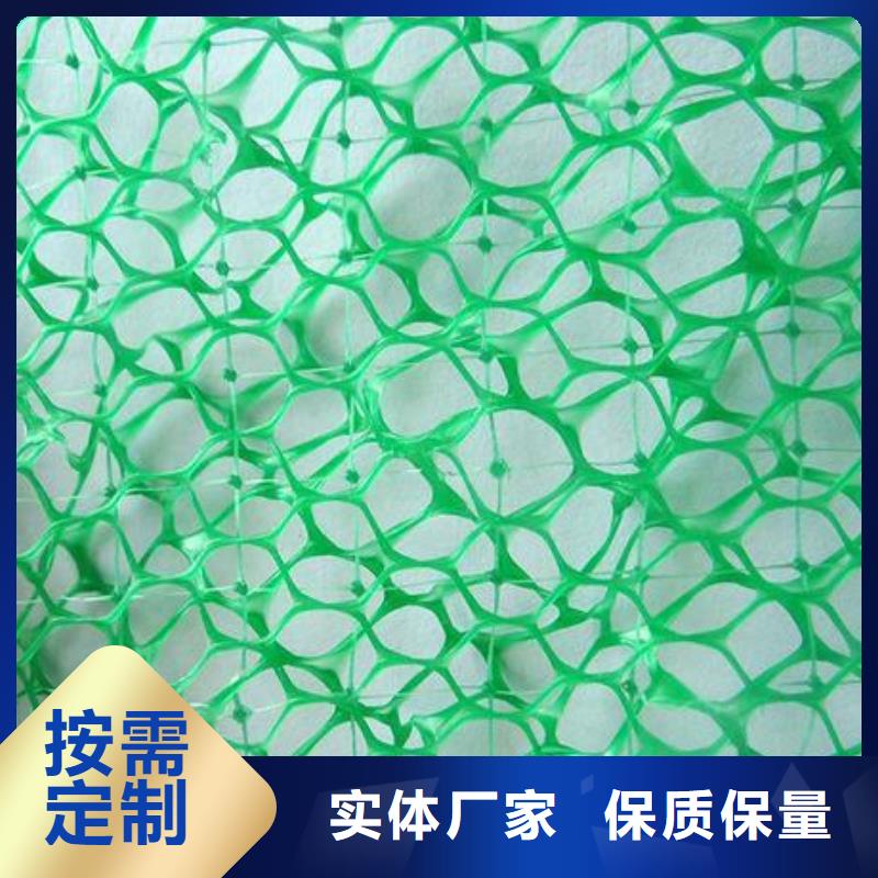 三維植被網【三維土工網墊】庫存量大實地大廠