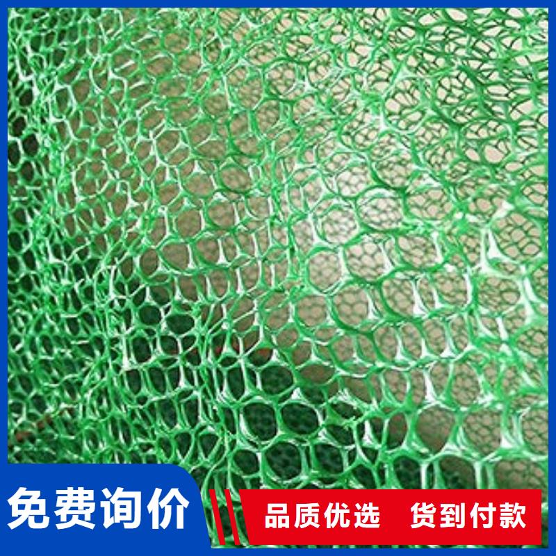 三維植被網【防滲膜】客戶好評品質優選