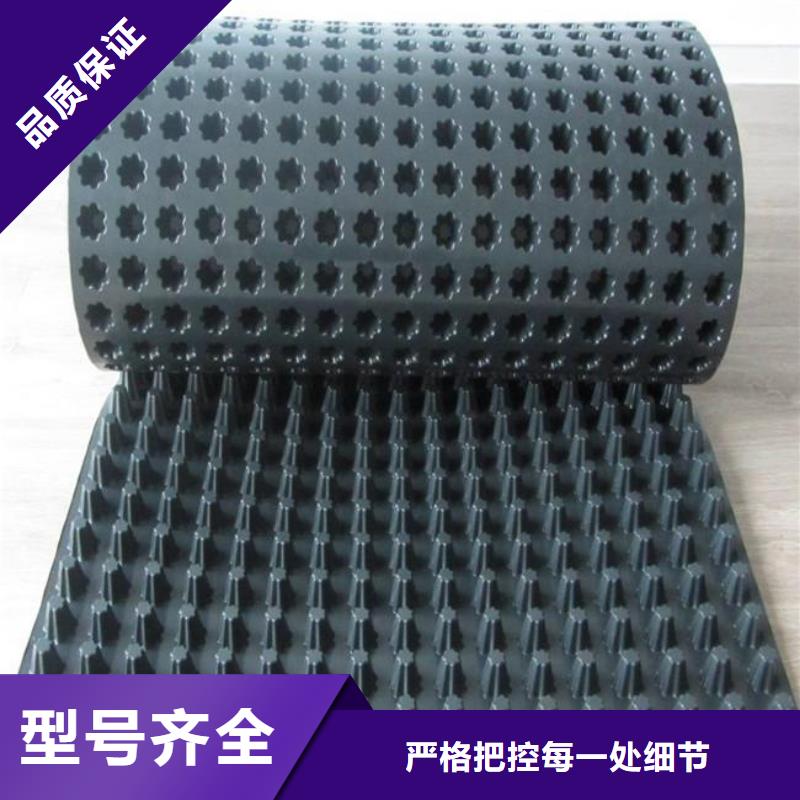 塑料排水板垃圾填埋場材料質保一年廠家實力雄厚