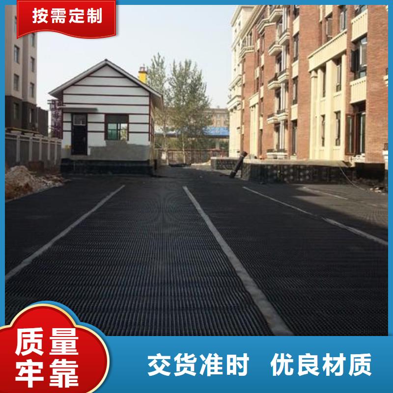 【塑料排水板】護坡土工網專業生產品質保證精致工藝