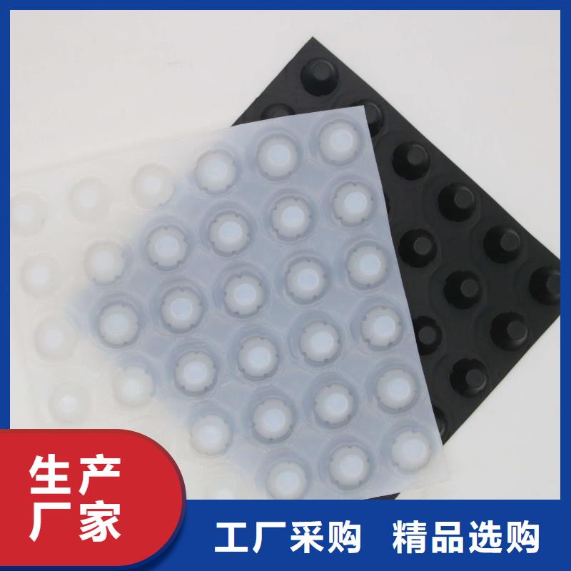 塑料排水板-鋼塑土工格柵專業供貨品質管控同城生產商