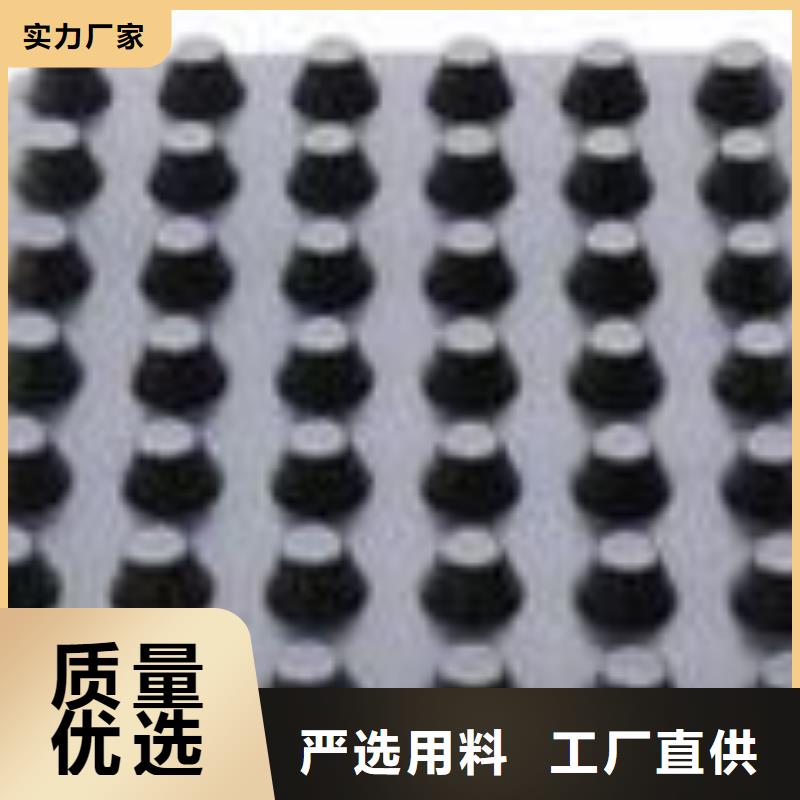 塑料排水板養殖膜專業的生產廠家當日價格