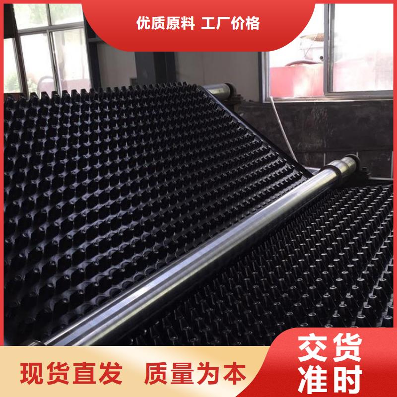 塑料排水板聚乙烯土工膜誠信廠家當地貨源