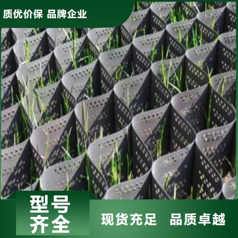 土工格室品質無所畏懼本地生產商