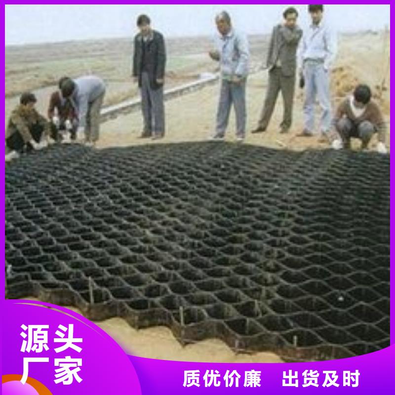 土工格室塑料土工格柵工廠批發同城品牌
