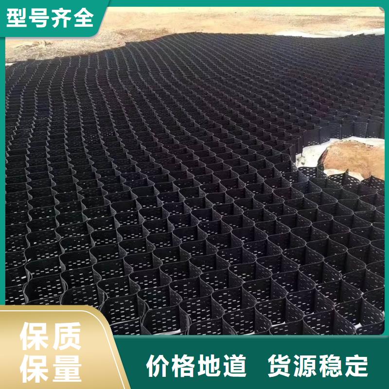土工格室土工席墊出貨快源頭采購
