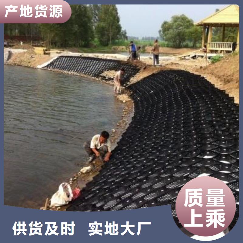 土工格室玻纖土工格柵貨源報價批發(fā)價格