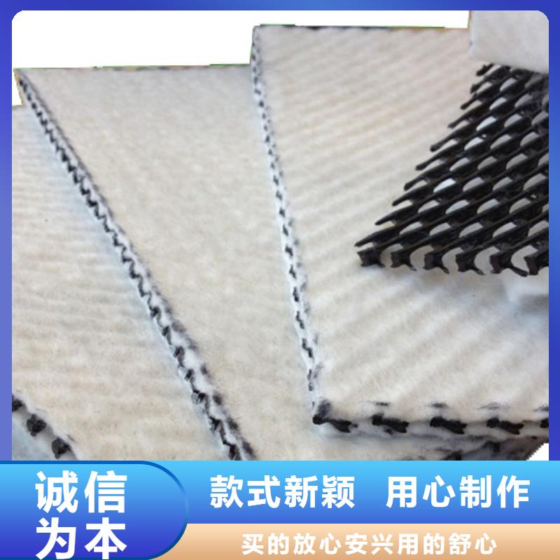 【三維復合排水網】三維土工網墊款式多樣同城制造商
