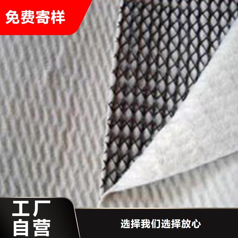 【三維復合排水網-三維土工網墊有實力有經驗】當地廠家
