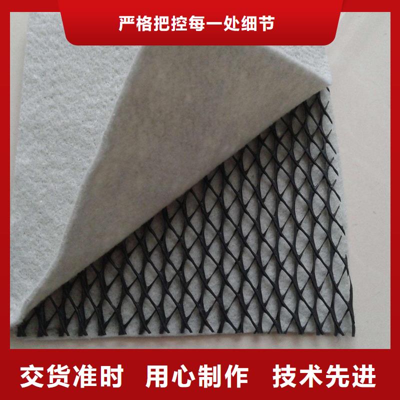 三維復(fù)合排水網(wǎng)HDPE土工膜物流配送專業(yè)生產(chǎn)團(tuán)隊(duì)