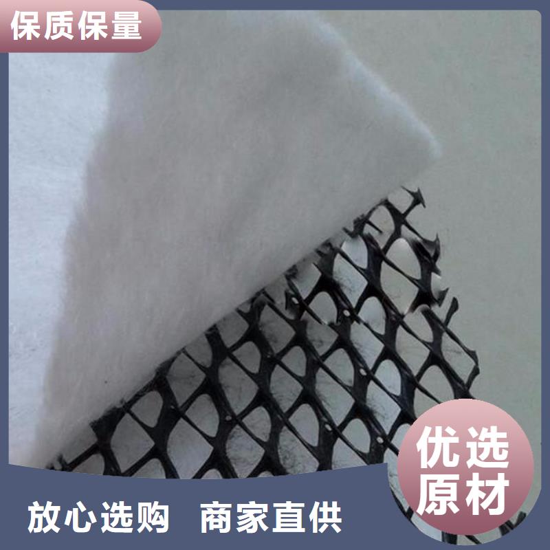 【三維復合排水網土工席墊品類齊全】當地品牌