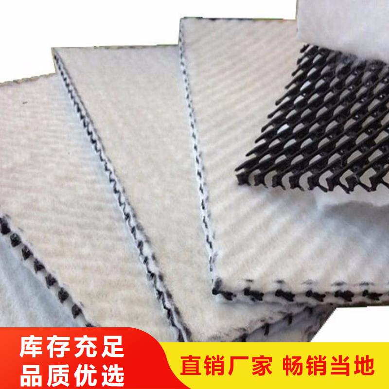 【三維復合排水網】土工格柵細節展示本地服務商