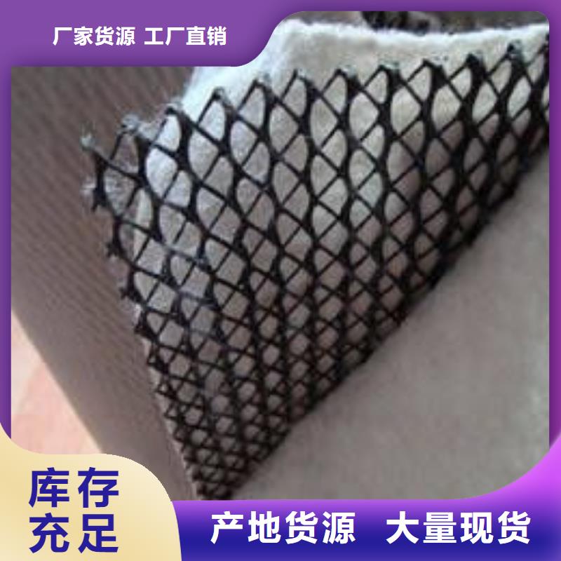 三維復合排水網單向塑料土工格柵保障產品質量當地服務商