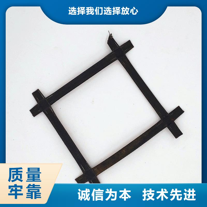 鋼塑土工格柵土工格室48小時(shí)發(fā)貨定制批發(fā)