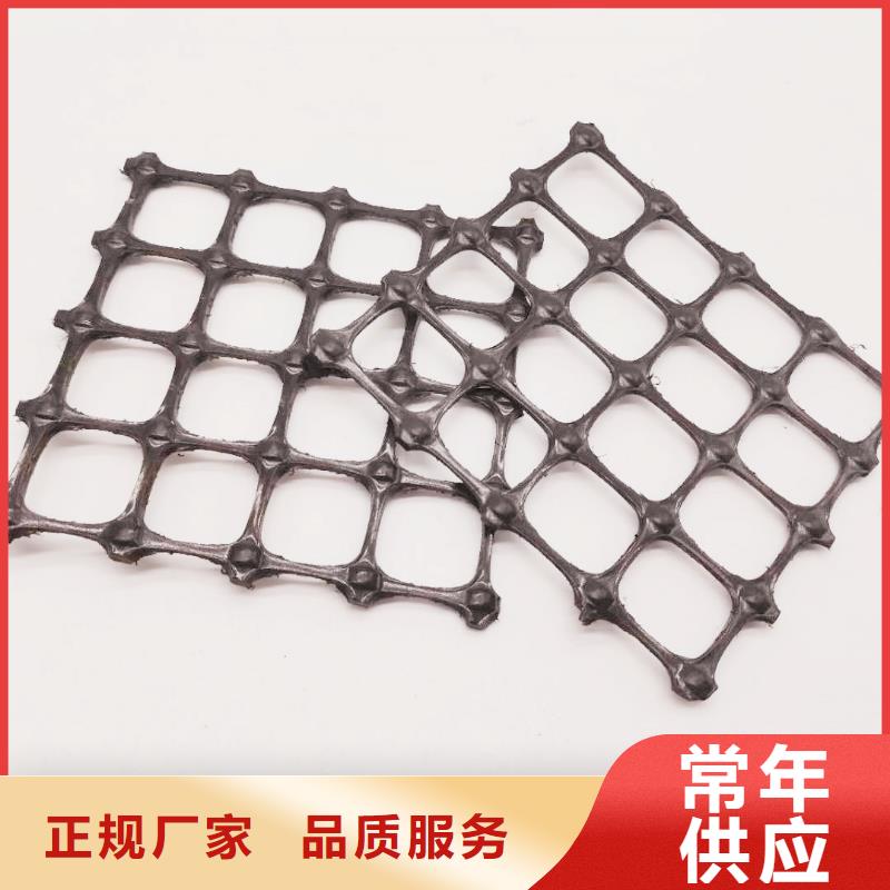 塑料土工格柵,滌綸格柵專業信賴廠家現貨批發