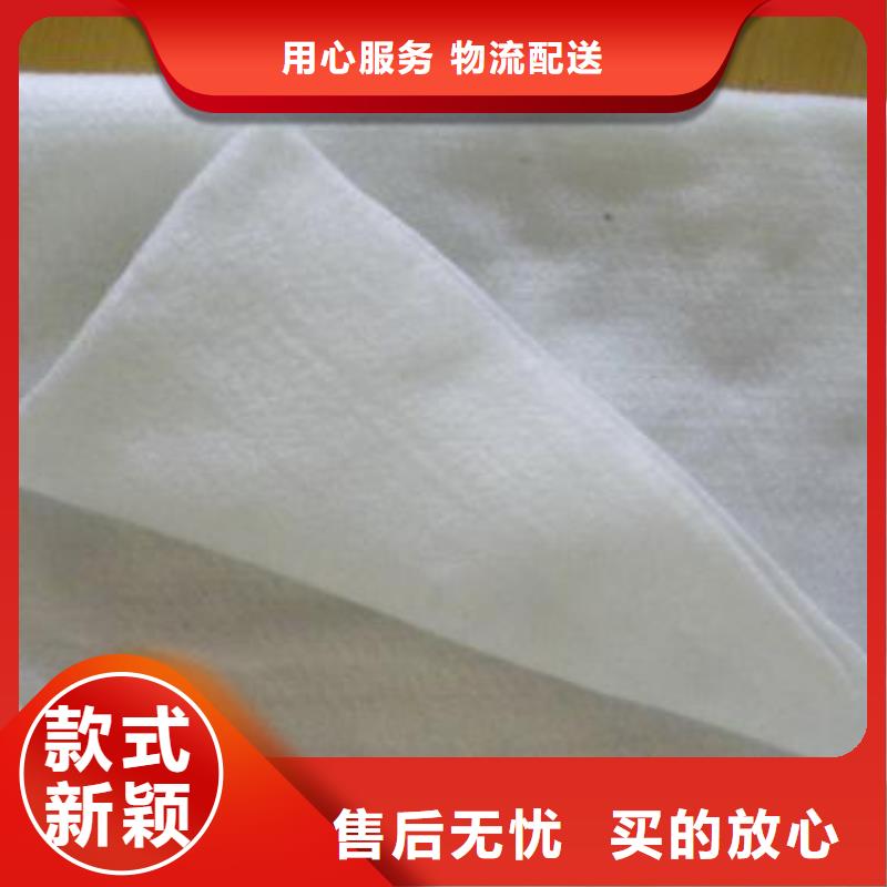 土工布-【土工席墊】專注細節(jié)更放心真材實料誠信經營