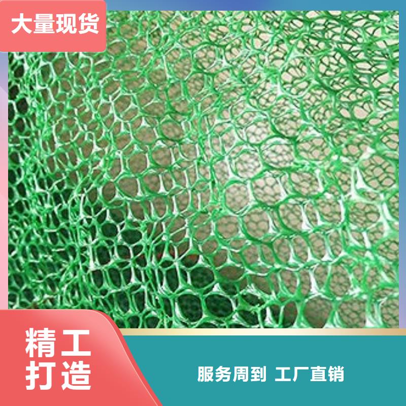 三維植被網鋼塑土工格柵定制不額外收費同城供應商