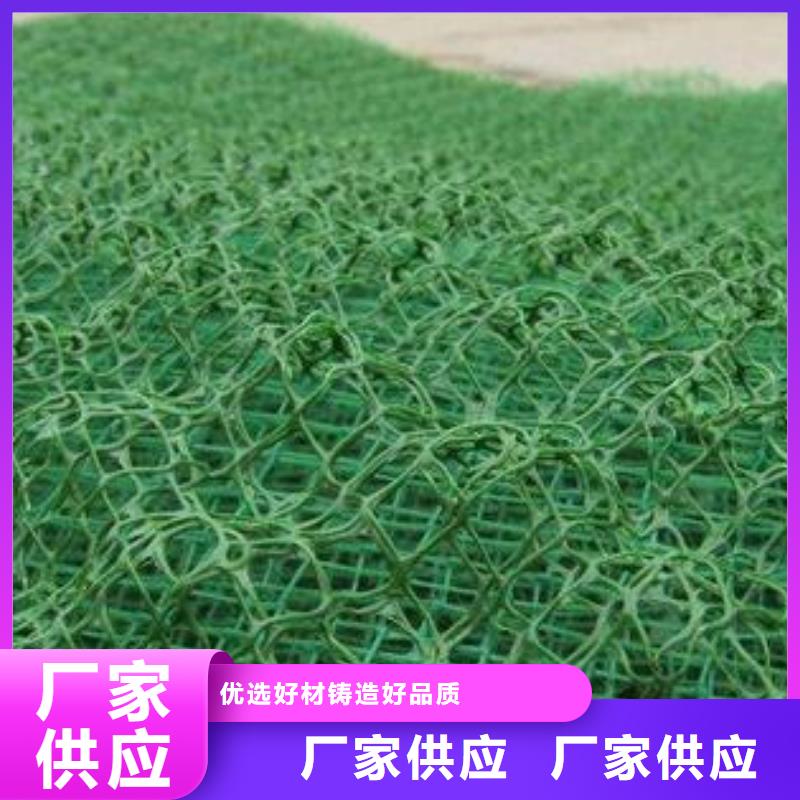 三維植被網(wǎng)玻纖土工格柵支持非標定制隨到隨提