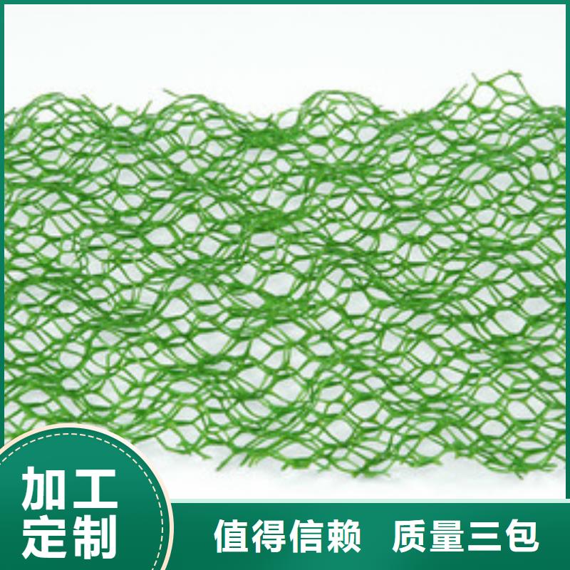 【三維植被網,排水溝蓋板貨源直銷】當地供應商