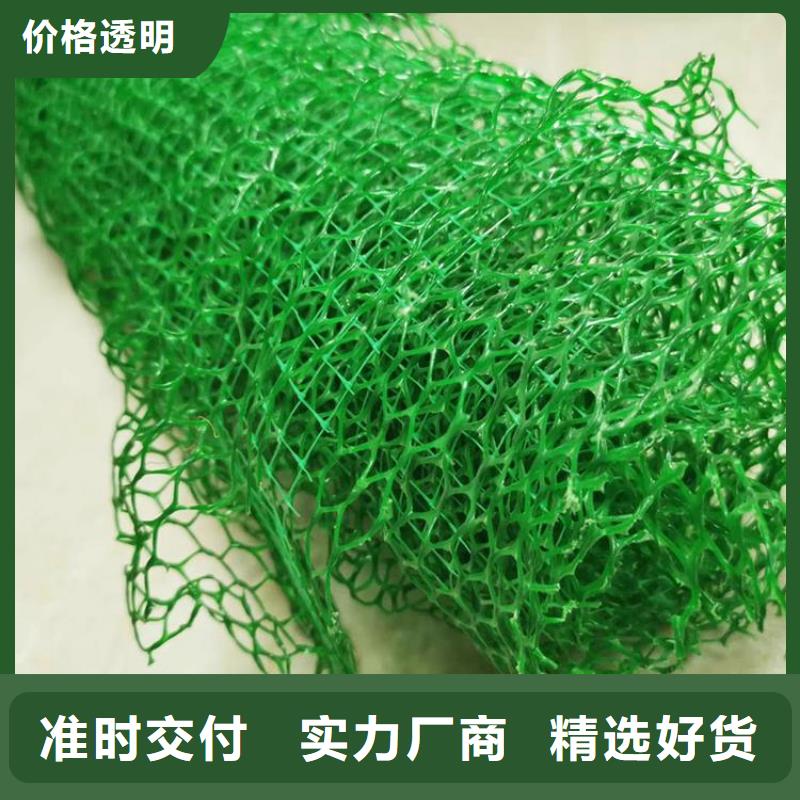 三維植被網(wǎng)膨潤(rùn)土防水墊買的放心安興用的舒心量少也做
