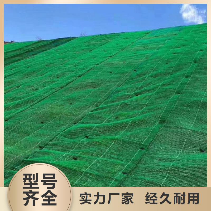 三維植被網(wǎng)【塑料盲溝】批發(fā)貨源產(chǎn)品參數(shù)