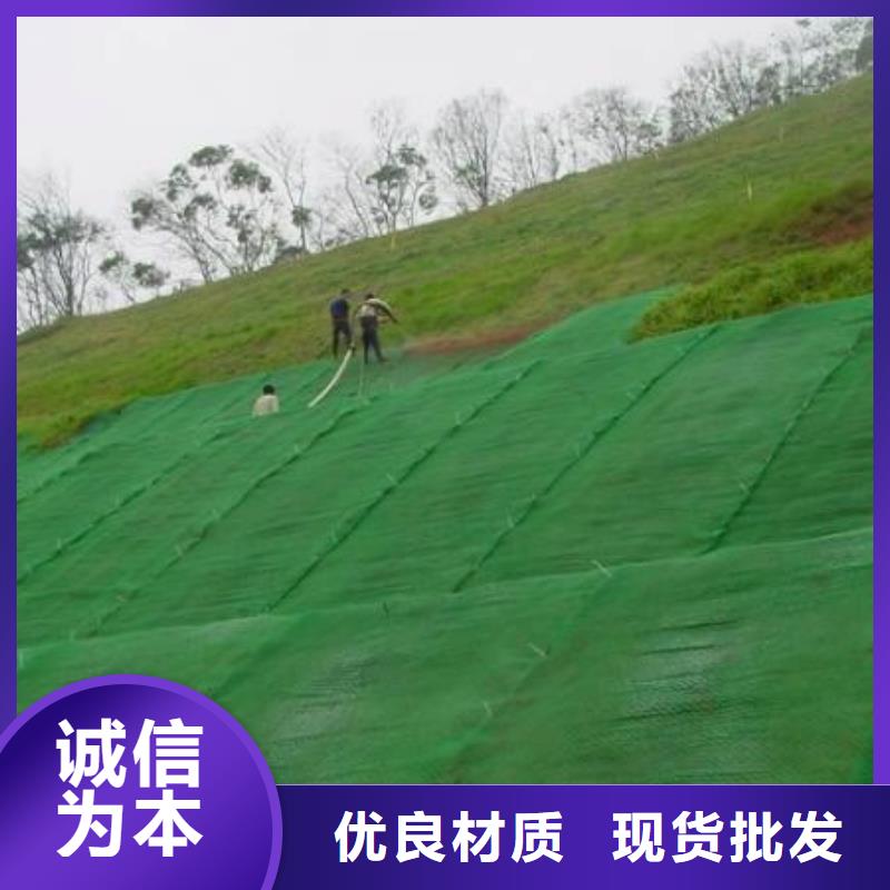 三維植被網(wǎng)土工格室價格合理用心做品質(zhì)