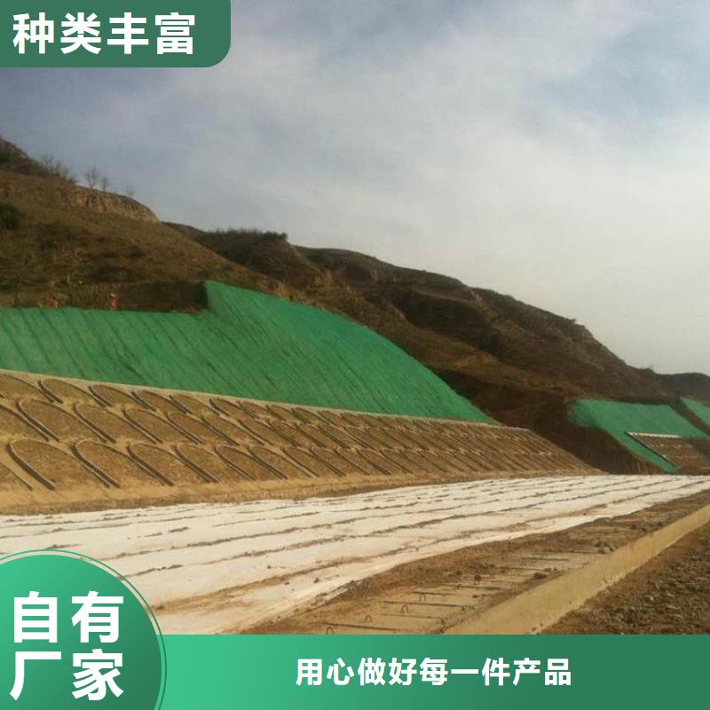 三维植被网单向塑料土工格栅价格合理保质保量