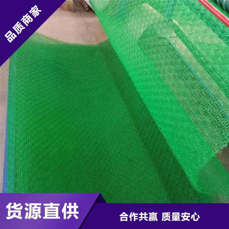 三維植被網_土工席墊現貨供應本地公司
