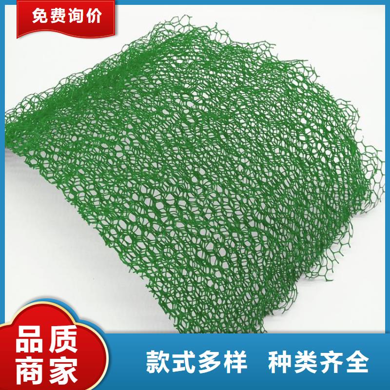 三維植被網復合土工膜真材實料誠信經營現貨銷售