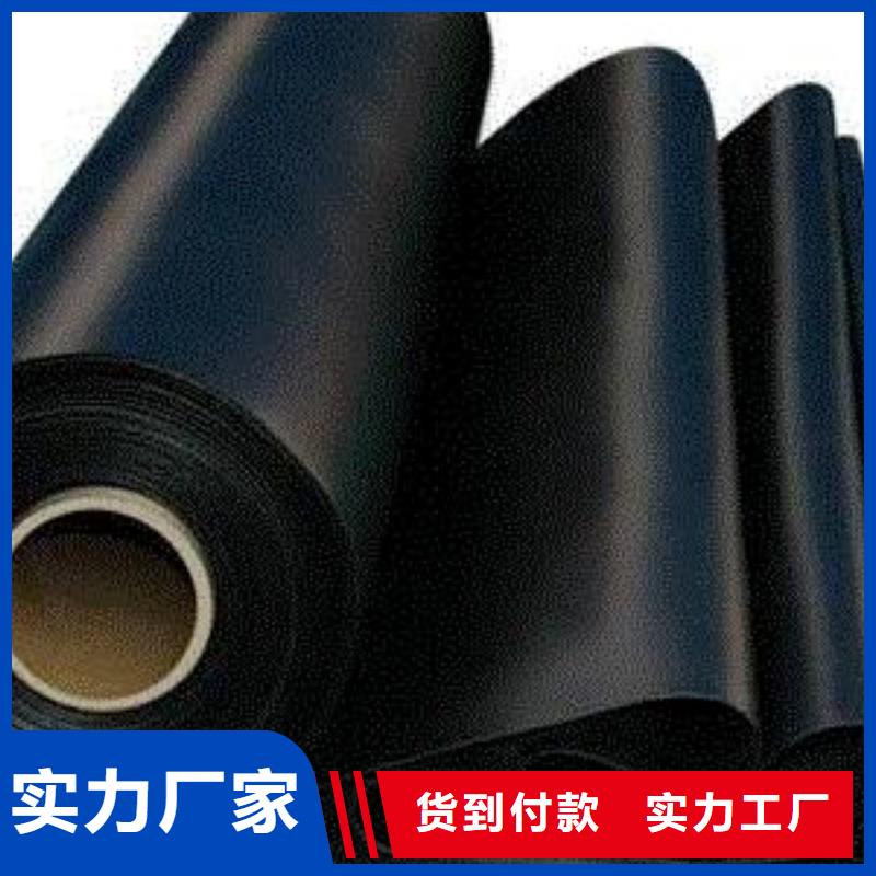 垃圾填埋場土工膜垃圾覆蓋膜廠家好貨直銷