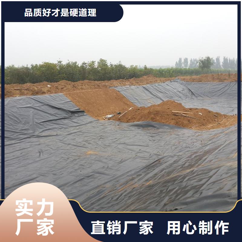 土工膜單向塑料土工格柵實力公司海量庫存