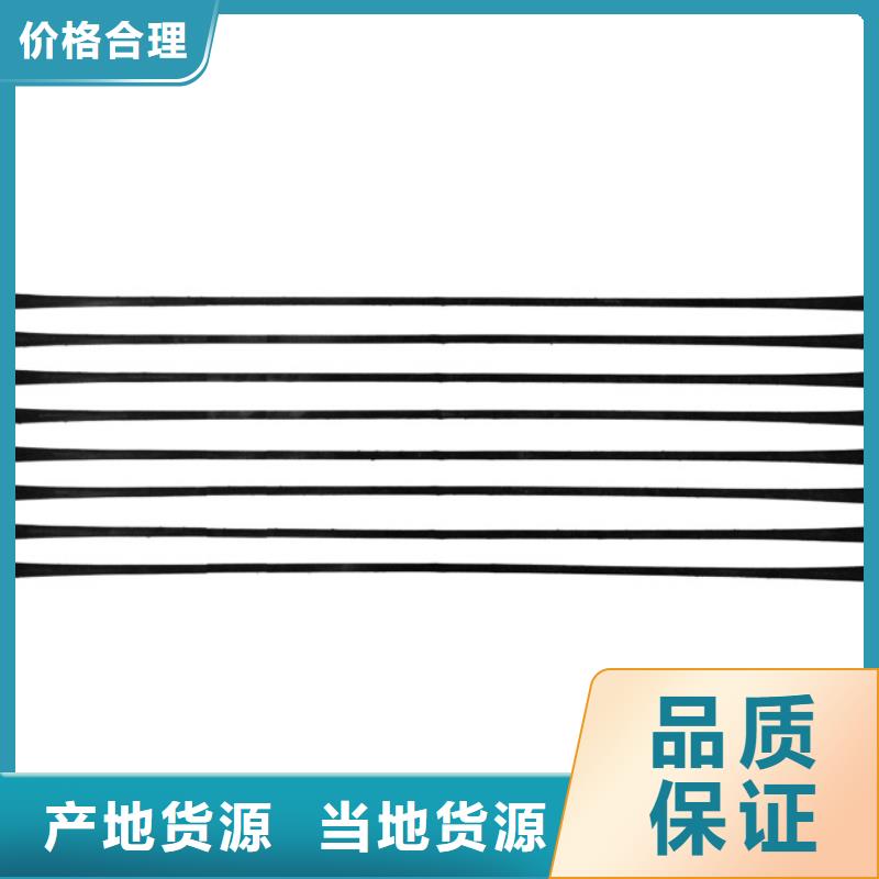 单向拉伸塑料格栅水土保护毯工厂价格质优价廉