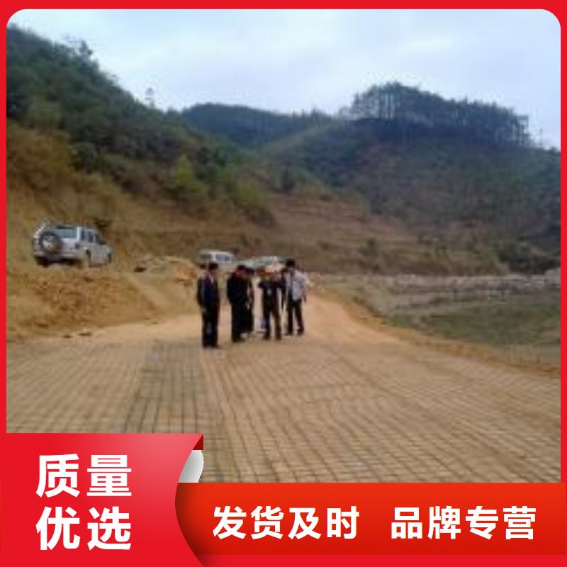 钢塑土工格栅保质保量-按需定制工厂批发