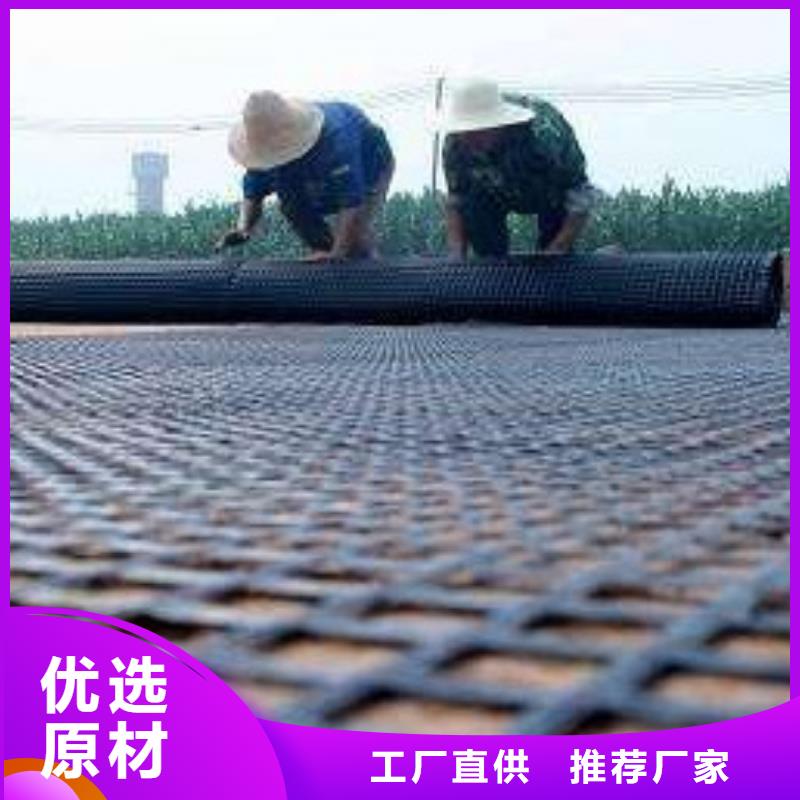 鋼塑土工格柵膨潤土防水墊自產(chǎn)自銷同城公司