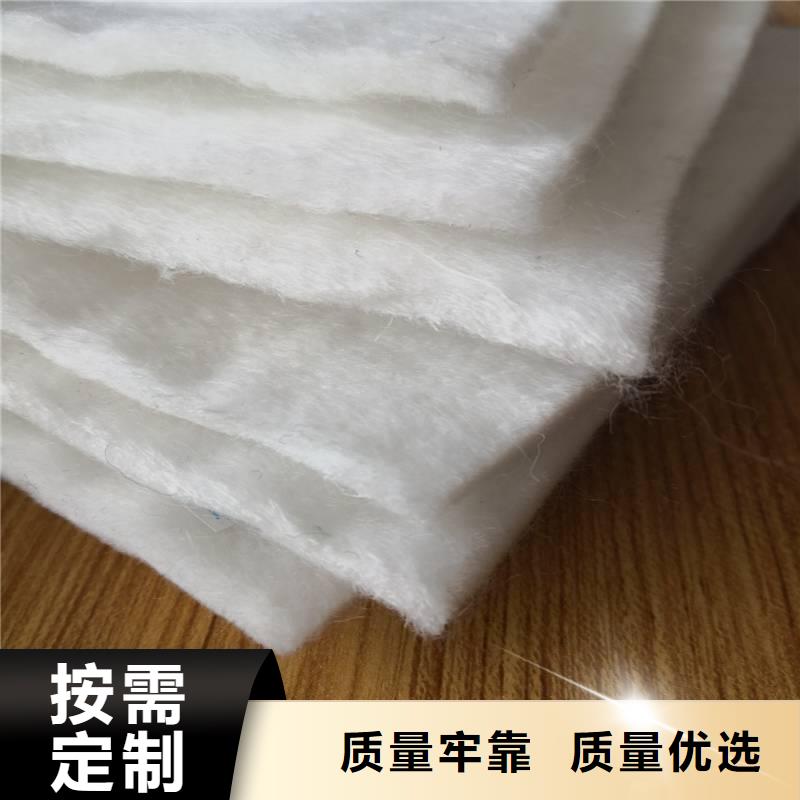 土工布聚丙烯雙拉土工格柵制造廠家本地品牌