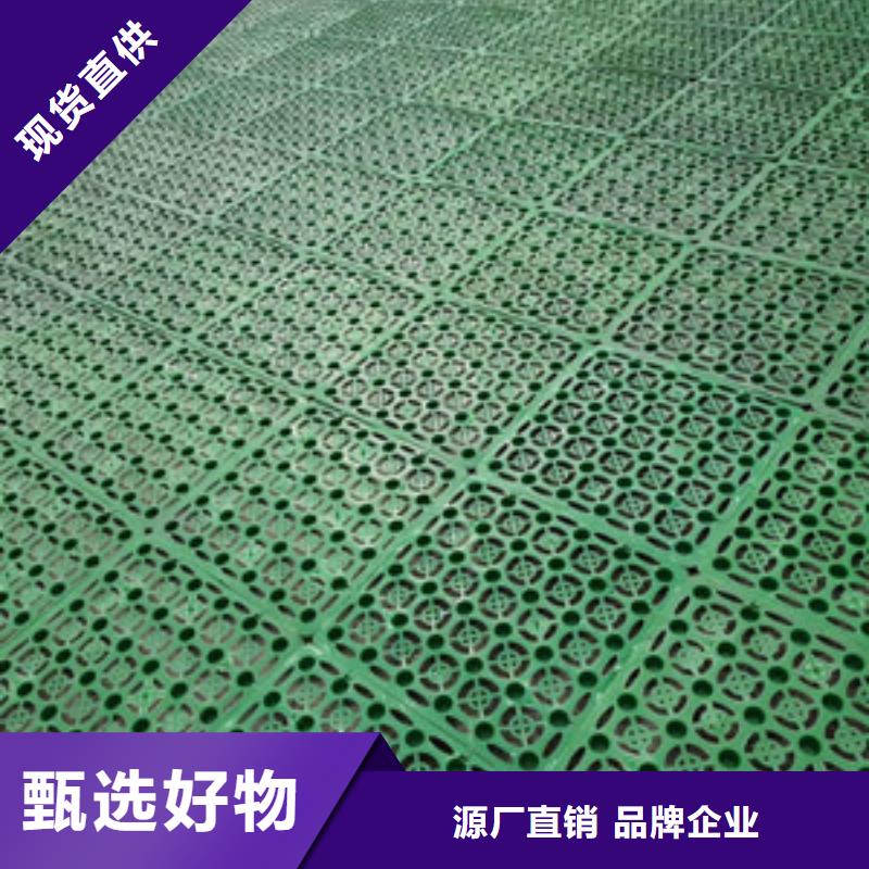 塑料排水板_滌綸土工格柵一站式采購本地廠家