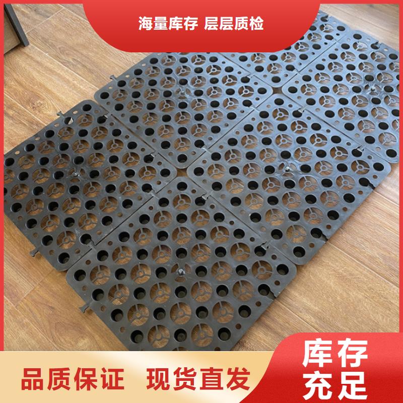 【塑料排水板】,三維土工網墊助您降低采購成本當地廠家